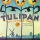 Tu-li-Tulip Time / Tulipan